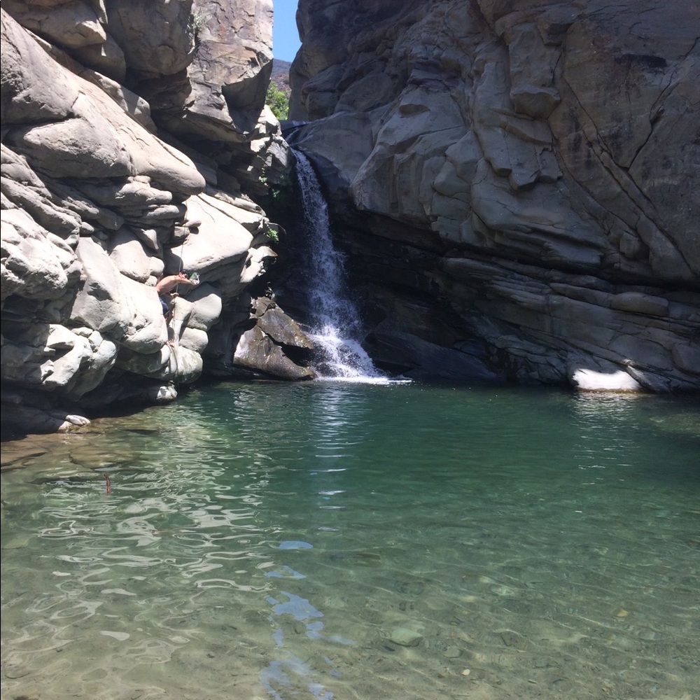 Meet your Posher, Dennis